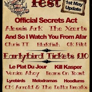 Southsea Fest 2009a.jpg